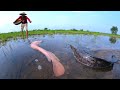 amazing fishing! a fisherman catch a lot of monster redfish & catfish under water by hand