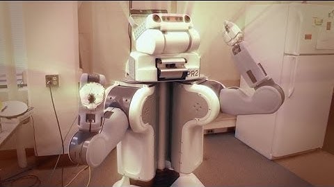 ROBOTS 