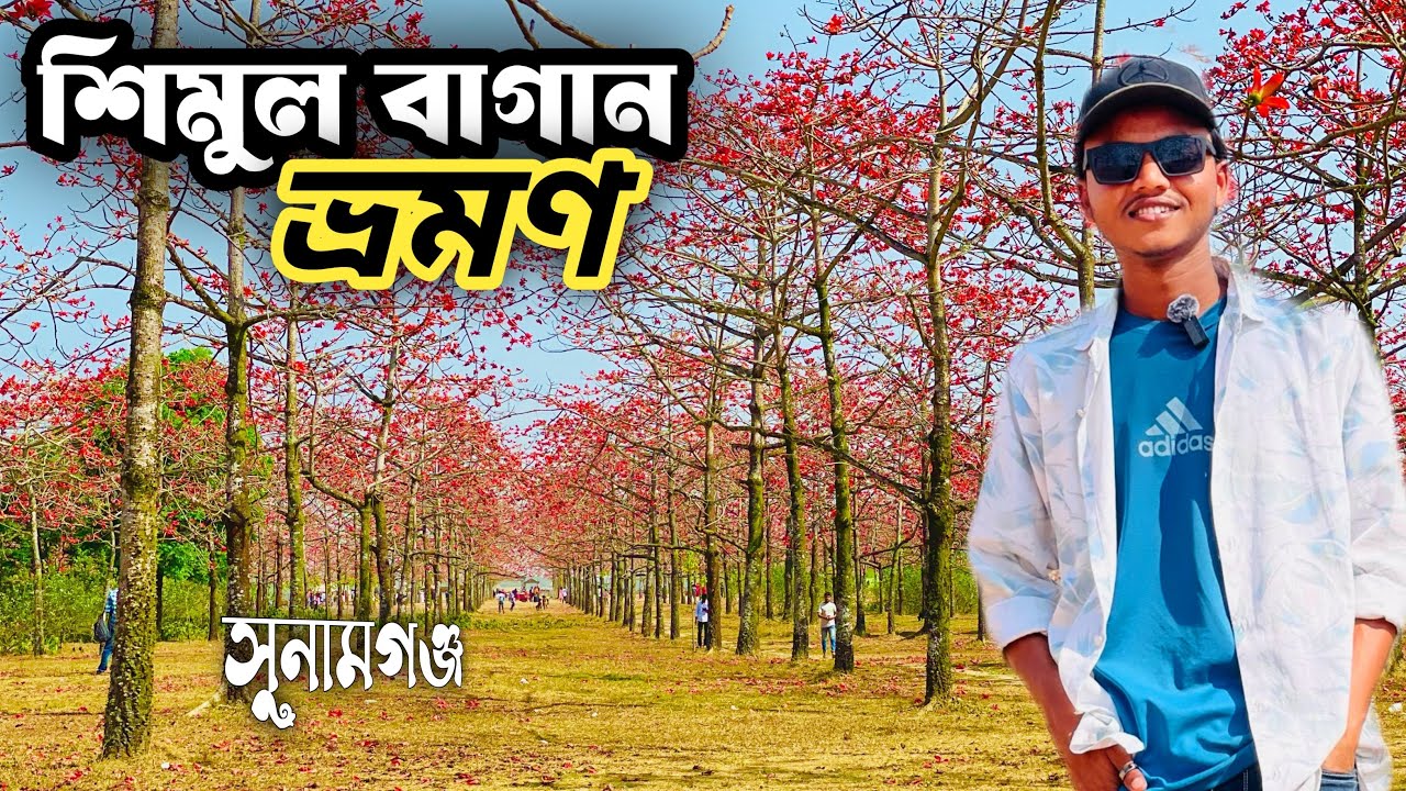 শিমুল বাগানের বর্তমান অবস্থা.?  শিমুল বাগান ভ্রমণ। Sunamganj Shimul Bagan Travel Vlog 2026 | 