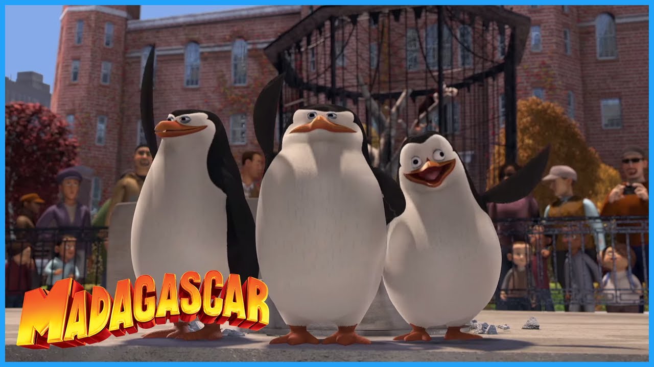 DreamWorks Madagascar | A Day In The Zoo | Madagascar Movie Clip - YouTube