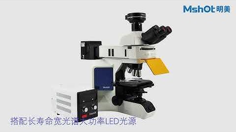 MF43-N research level fluorescence microscope
