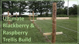 TNT Try New Things  52:   Blackberry and Raspberry Trellis Build