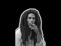Bob Marley – Ganja Gun | Club EDM Remix