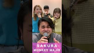 【アカペラ】SAKURA / MONKEY MAJIK #sakura #monkeymajik #cm #桜 #アカペラ #acapella