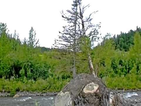 2020 Payette Drive, McCall, ID home video tour