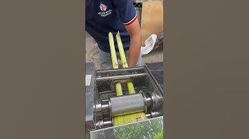 Máy ép nước mía liền bàn, thùng xe dài, motor 1000W - Model: V5990 2X2 #mayepmia #mayepmiatanphat