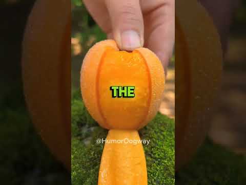 Siri Is Savage CodeJohan 