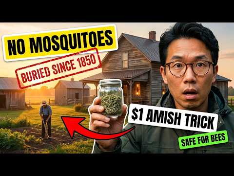 $1 Amish Trick KILLS ALL Mosquitoes FOREVER. Safe For Bees And Pets. Pest Control BURIED Since 1850