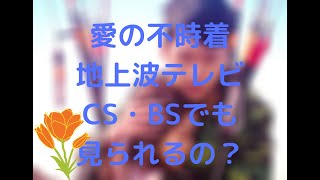 地上波 放送予定 愛の不時着 愛 の