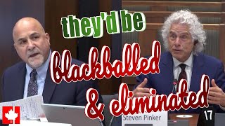 They Would Be Blackballed & Eliminated From A Job If They Expressed Their True Opinions About Dei