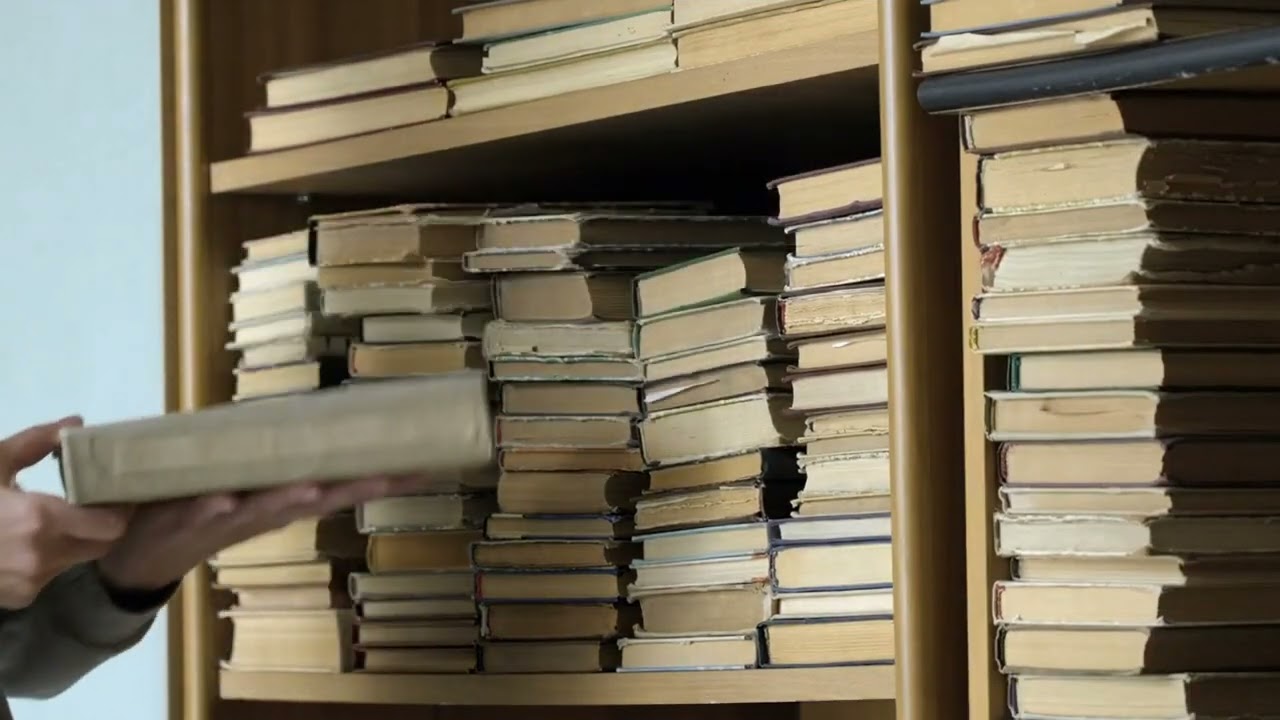 What is Library Classification? The Basics Explained