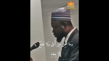 وَاللَّهُ خَلَقَكُم مِن تُرابٍ ثُمَّ مِن نُطفَةٍ // تلاوة مؤثرة وخاشعة// عكاشه الكيني // حالة وتساب