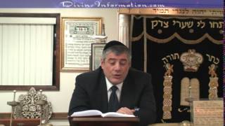 Common Questions Series #23 - Sinner Parents, DNA in Court, Rabbis, Shabbat Eruv