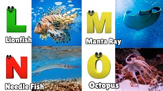 ABC Song | Sea Animals ABC Song | Phonics for Kids, Learn ABC, Baby Alphabet Letters