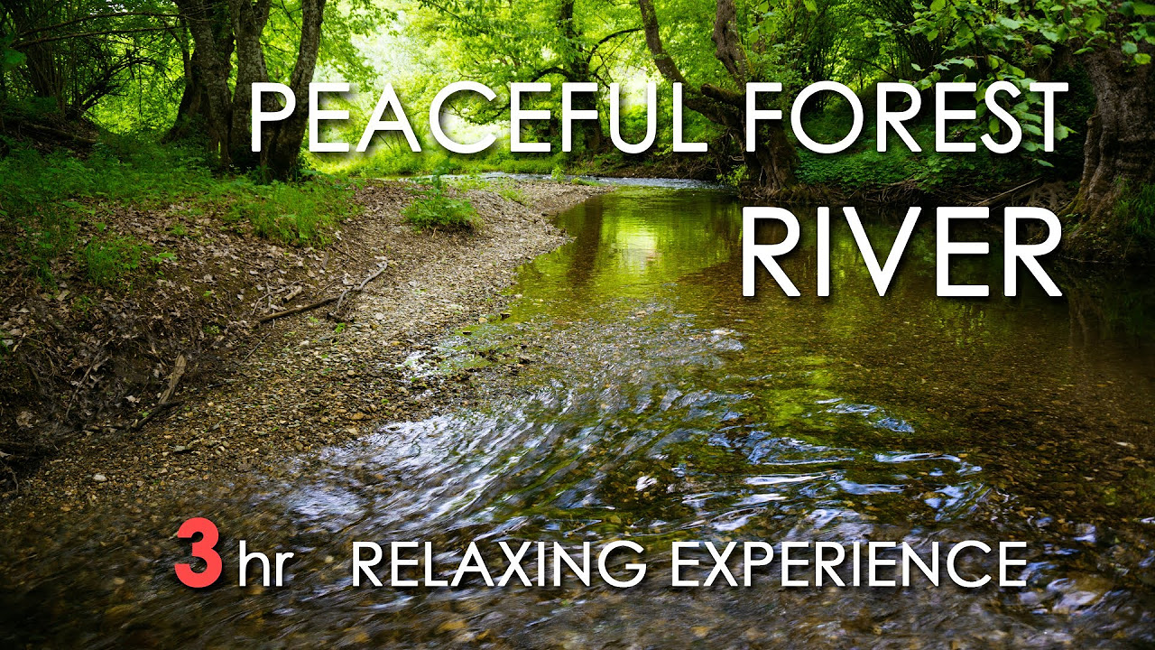 Relaxing River Sounds   Peaceful Forest River   3 Hours Long   HD 1080p   Nature Video