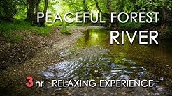 Relaxing River Sounds - Peaceful Forest River - 3 Hours Long - HD 1080p - Nature Video  - Durasi: 3:00:27. 