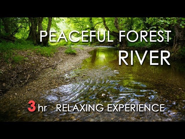 Relaxing River Sounds - Peaceful Forest River - 3 Hours Long - HD 1080p - Nature Video class=