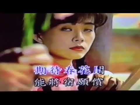 蘭花草