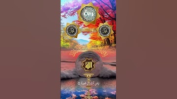 ستوري قرآن اسلامي #هاشتاق #اكسبلور #الجمعة #ترند #explore #ksa #تلاوات_رائعة #حالاتواتس #uae #iraq