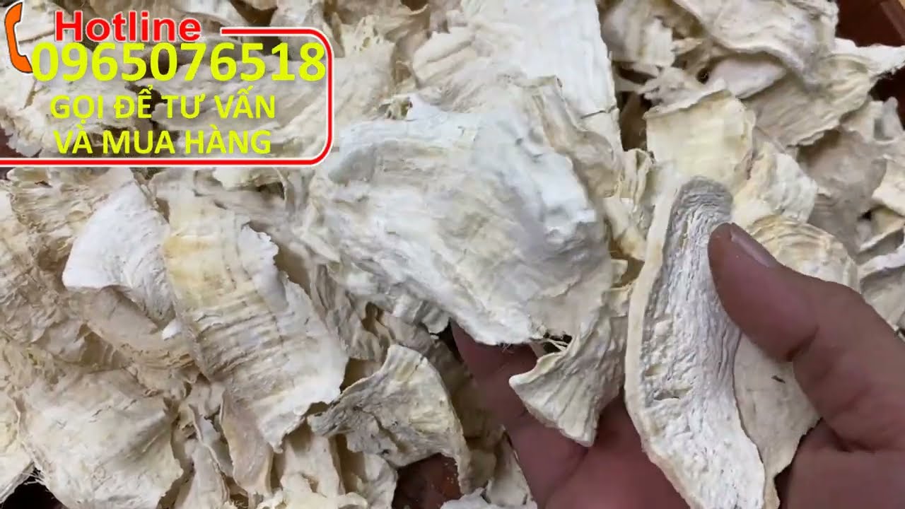 Củ sâm tố nữ tươi giá bao nhiêu