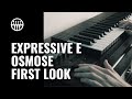 First look at the osmose by expressive e and haken audio  thomann