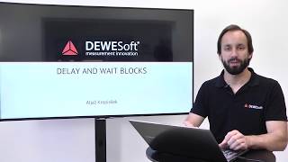 Delay and wait block within sequencer in DewesoftX