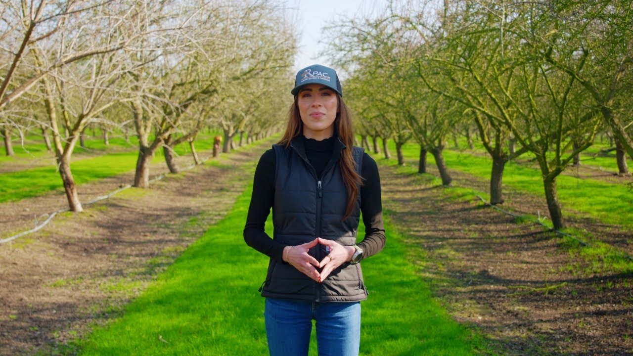 January 2026 Almond Market Update with Nicole Wurzel of Agrifluence