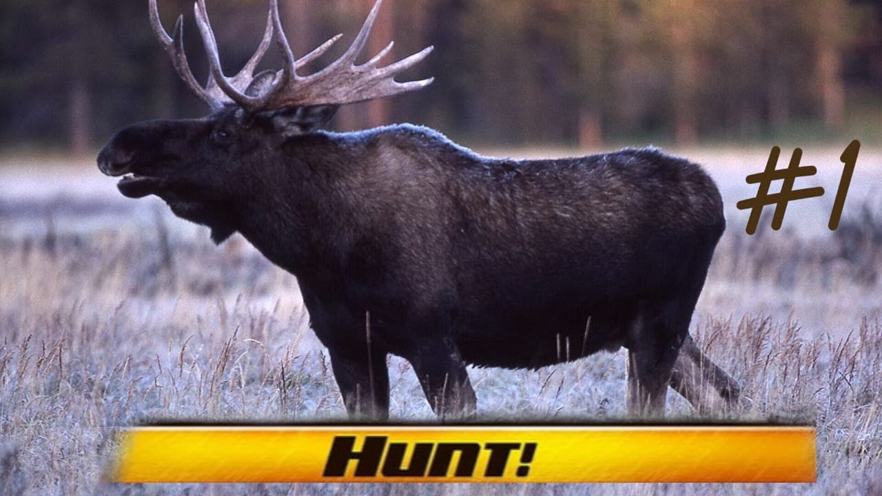 Wild Hunt. The first series. Первая серия