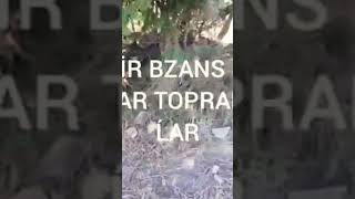 V2 Alan tarama 531 712 6306 #alantarama #define #fyp