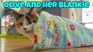 Olive and Her Blankie - A Calico Cat's Obsession