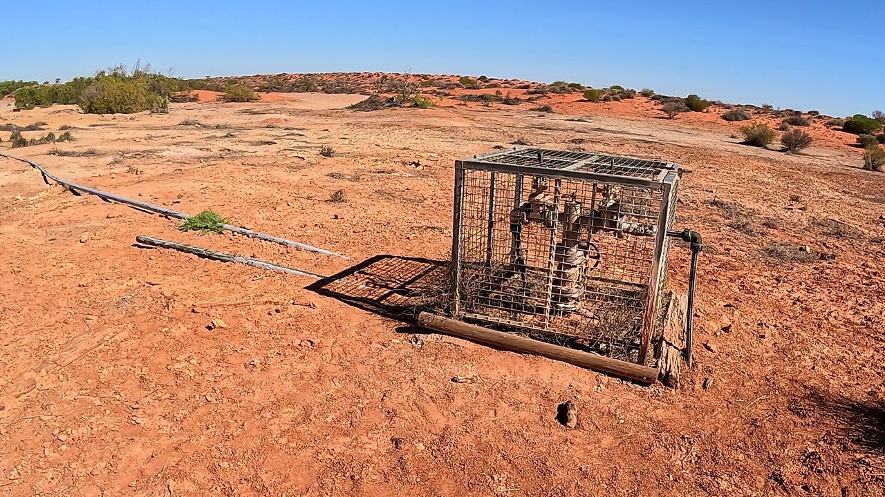 2024Simpson-039 | To Purni Bore - West on French Line