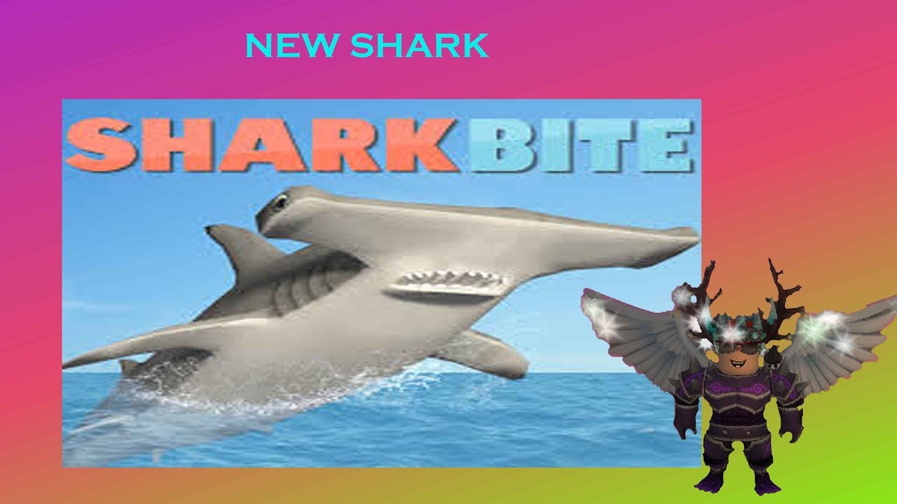 Hammerhead Shark Roblox Shark Bite Youtube - shark attack roblox sharkbite youtube