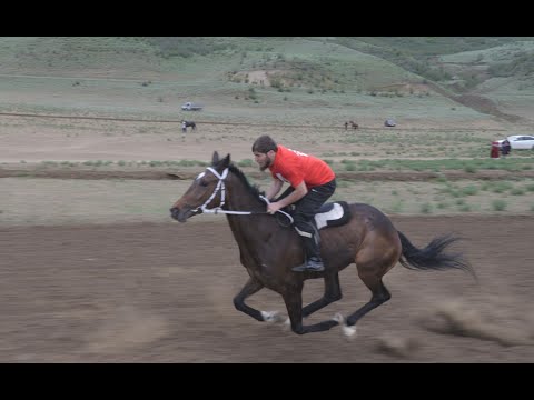 Видео: Скачки Новый Кумух. Буйнакский район. 9 мая 2023 год