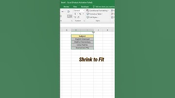 how to use shrink to fit #excel #shorts #ytshortsindia
