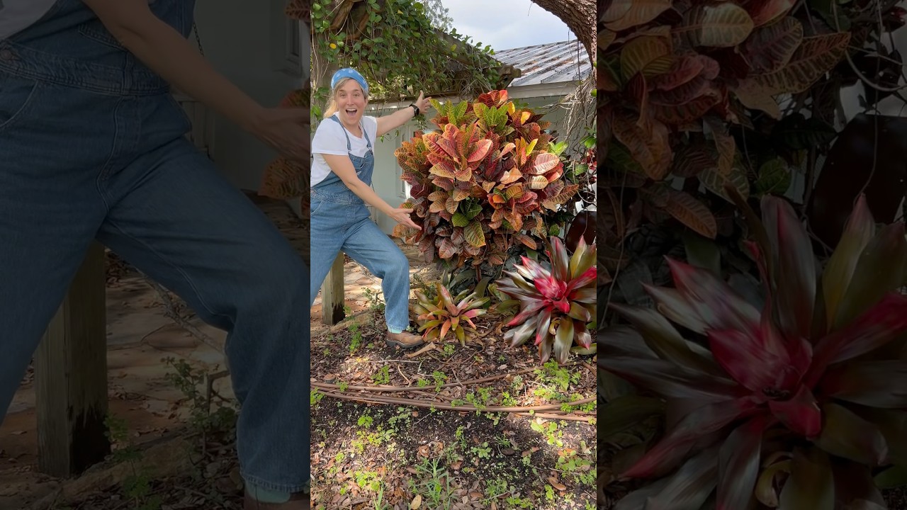 Start small, think big! Our 