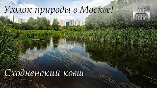 Памятник природы Сходненский ковш или Сходненская чаша. Место где можно погулять в Москве!