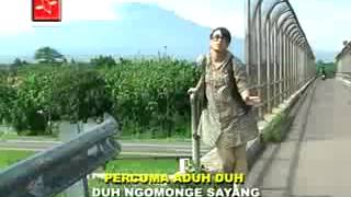 Download Lagu Diana Sastra   Jam 8  Tarling Dangdut Pantura MP3