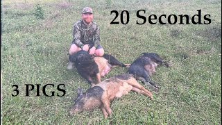 AR12 Hunting - 3 Wild Hogs in 20 seconds!!! by SCliving Outdoors 2,189 views 9 months ago 10 minutes, 1 second