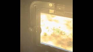 Muddy Box Blind Review
