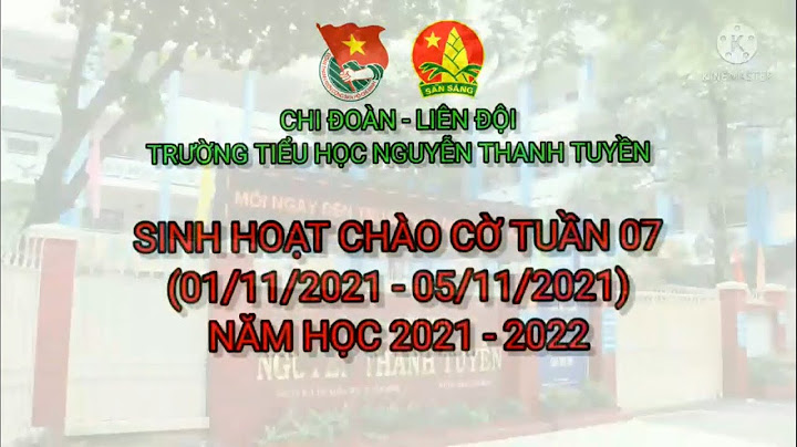 Bài văn miêu tả về lễ chào cờ đầu tuần năm 2024