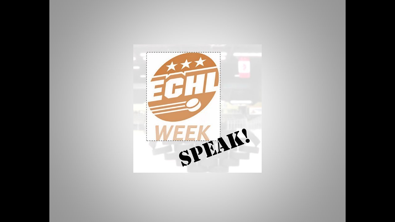 ECHL Week - Speak! "The Sin Bin"