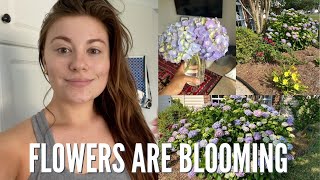 SKINCARE UPDATE & FLOWERS ARE BLOOMING!
Hello! Today Im sharing a random vlog talking about how my new skincare routine is going, ordering a ton of things for our new bed from Amazon & how the front garden is blooming!
I CREATED A FACE MAKEUP EBOOK!
This guide will help you through all of your face makeup struggles. Videos accompany the book to show you exactly how to apply everything from primer to powder. I cover exactly what each product is and what it is for, tools needed for each step, application techniques, and product recommendations.
BUY NOW!
https://emilyfreybler.com/shop-ebook/
RECENT VIDEOS
NEW ESSENCE MAKEUP FIRST IMPRESSIONS
https://youtu.be/5k2KSdzASl4
UNDER $100 RETRACTABLE PERGOLA CANOPY
https://youtu.be/OTjiDL1I1Yc
PLANTS FOR THE PATIO
https://youtu.be/nDmdviGWMsc
BLOG: https://www.emilyfreybler.com
INSTAGRAM: https://www.instagram.com/emily_freybler/
PINTEREST: https://www.pinterest.com/efreybler/
AMAZON STOREFRONT: https://www.amazon.com/shop/emilyfreybler
FACTS ABOUT ME!
Lived in 3 different states since January 2018
Currently live in South Carolina
Originally from Michigan
Graduated from Michigan State University π
24 years old π
Been on YouTube since September 2015 π·
Animal lover πΆ
Did gymnastics for 10 years π€ΈπΌββοΈ
Super close to my family π¨βπ©βπ§βπ§
Been dating my boyfriend for 7 years β€οΈ
FILMING EQUIPMENT
Canon 80D
https://amzn.to/2MqSJ9J
Two soft boxes and a ring light from amazon
http://amzn.to/2xsysNl
Affordable Canon Lens
https://amzn.to/2l9fwux
Sigma 17-50 2.8 Lens
http://amzn.to/2fXSdkH
Microphone
https://amzn.to/3qAe84D
Pop Filter for Mic
https://amzn.to/3gl4Qot
DISCLAIMER: This video is not sponsored. All opinions are my own and always will be. This description contains affiliate links, which means that if you click on one of the product links, I will receive a small commission. This helps support the channel and allows me to continue to make videos like this. Thank you for the support! SKINCARE UPDATE & FLOWERS ARE BLOOMING!