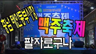 #태안동부시장 #맥주축제 #초대가수 노하영 - #팔자로구나 2025.6.7(토)
