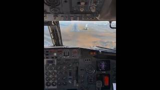 Boeing 737 BIRD STRIKE on final approach!