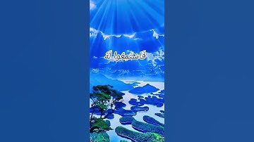 اللهم اجعل القران الكريم ربيع قلوبنا ونور صدورنا وجلاء وذهاب همومنا