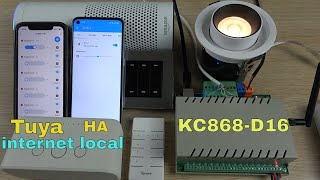 KC868-D16 Dimmer use Tuya internet and home assistant without internet screenshot 2