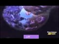جميع كواكب سبيستون2006 