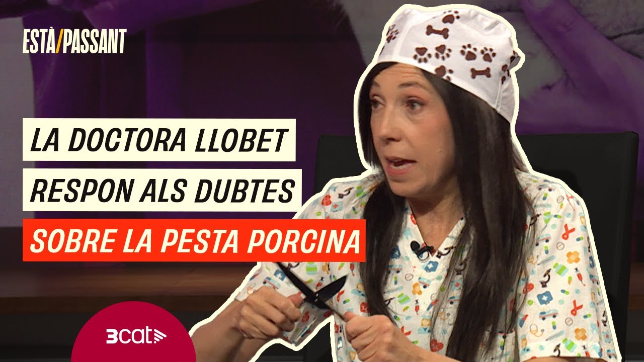 La doctora Llobet (Judit Martín) alerta dels perills de la pesta porcina africana