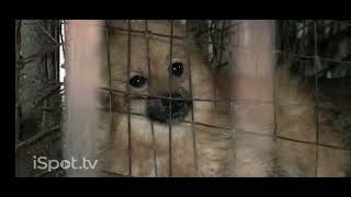 ASPCA commercial 2015