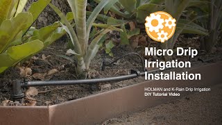 How To Convert a Sprinkler into a Drip Irrigation System